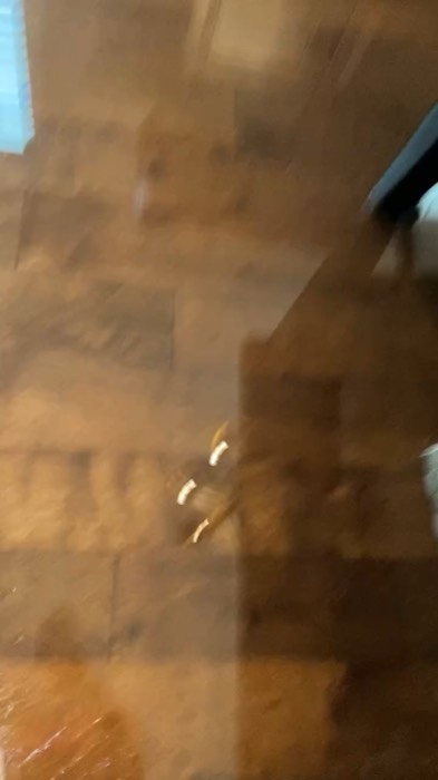 Video still 82