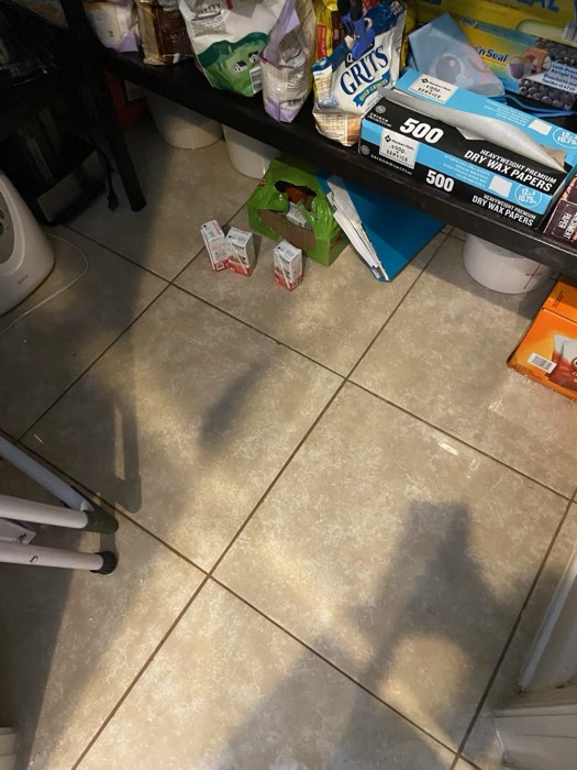 Damage photo 21